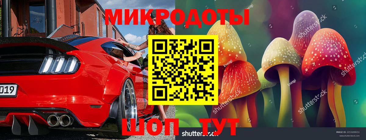 Псилоцибиновые грибы MAGIC MUSHROOMS  Вход с VPN  Баксан 